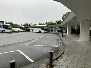 2D7CABAA-246C-40C2-AAB9-A7454E159601.jpg